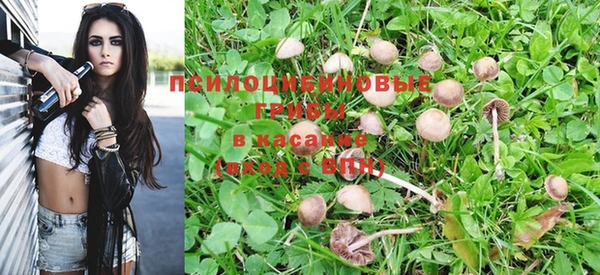 трава Балабаново